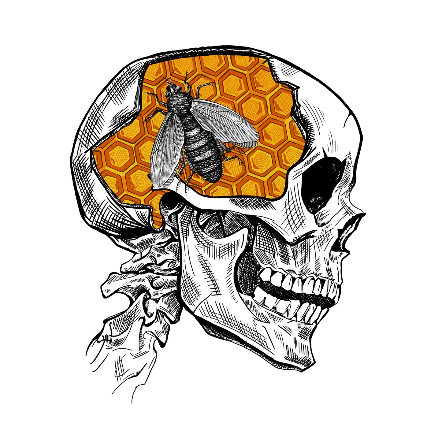 Bee and Skull