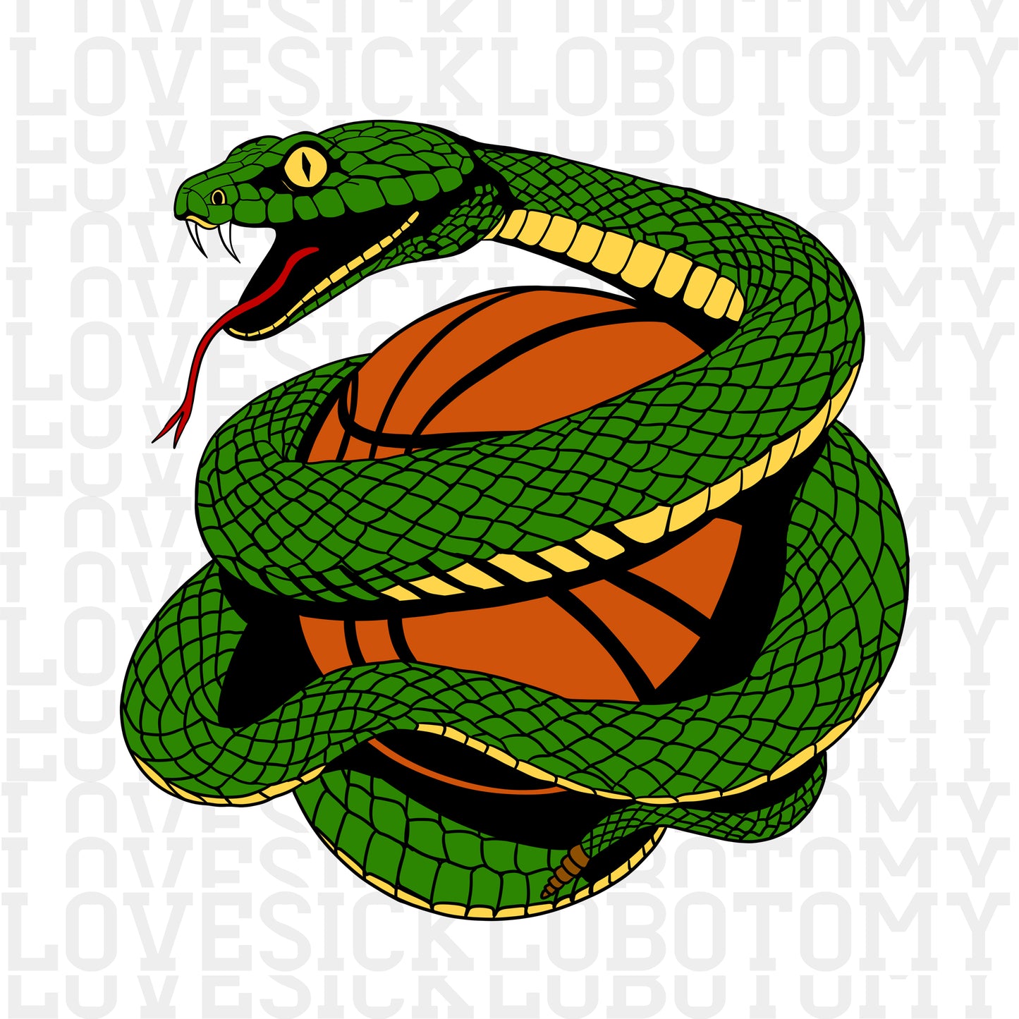 Snake and Basketball