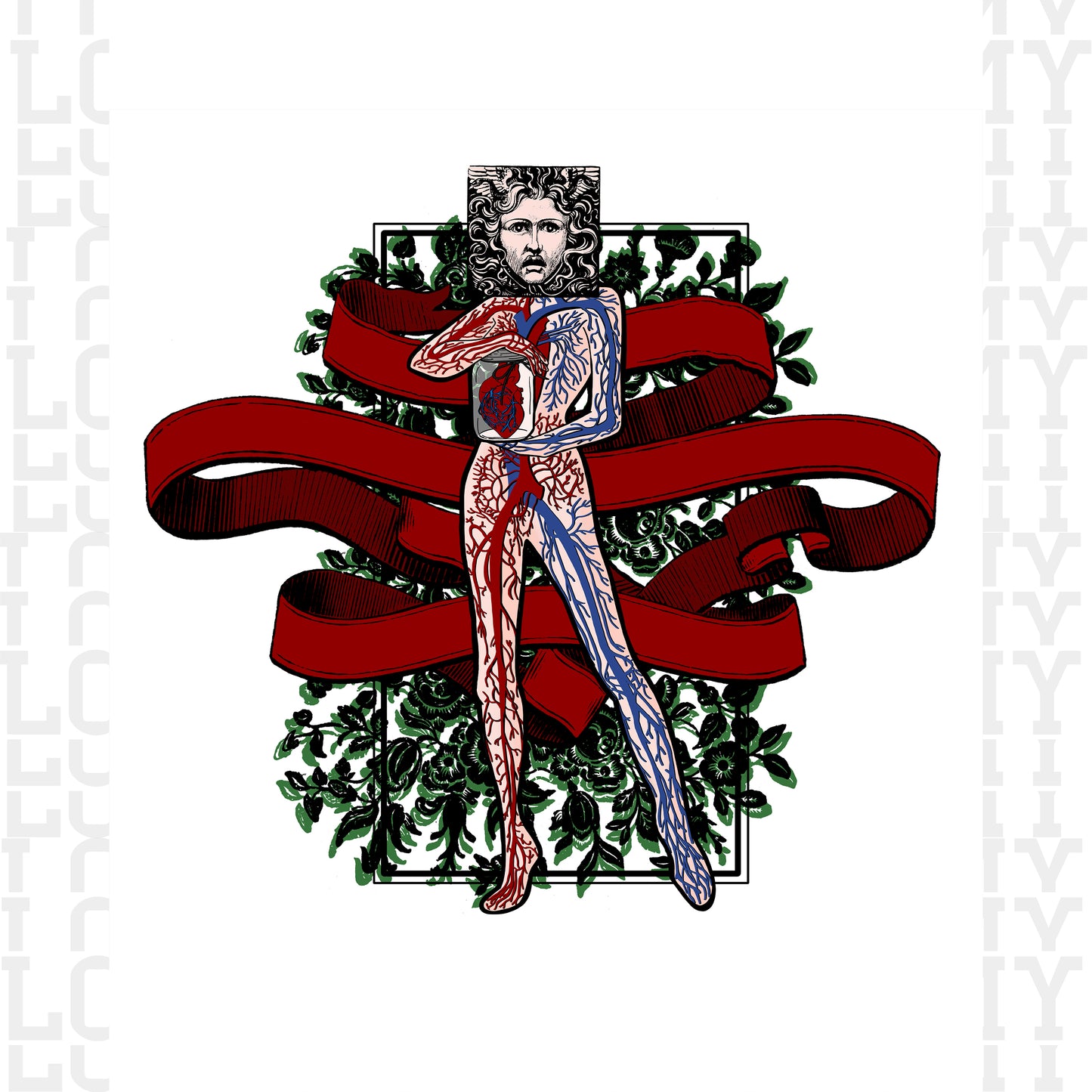 Circulatory System