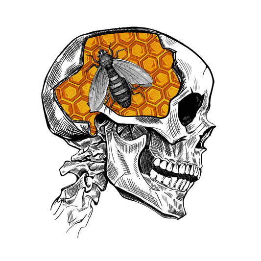 Bee and Skull