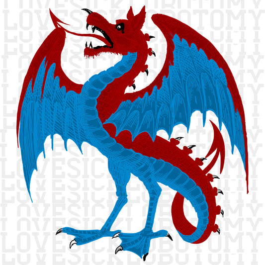 Fierce Red and Blue Dragon