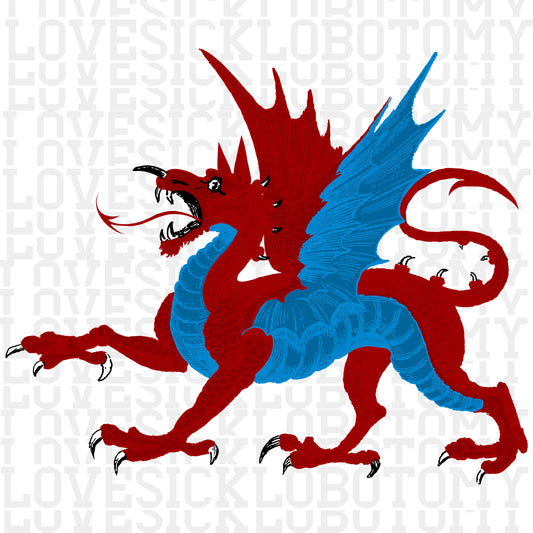 Fierce Red and Blue Dragon