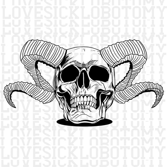Skull w/Horns