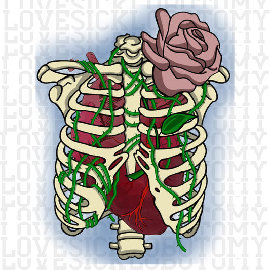 Ribcage Transparent Image