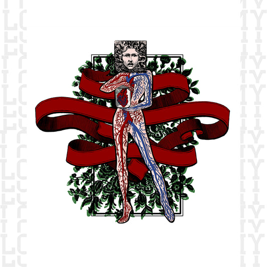 Circulatory System