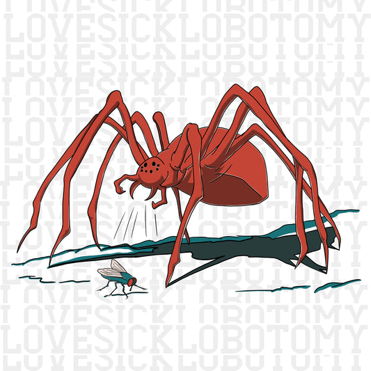 Spider